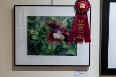 2nd Place - People's Choice