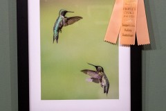 People's Choice - Honorable Mention