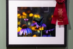 People's Choice - Second Place
