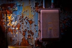 Carrie Blast Furnace (10)