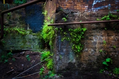 Carrie Blast Furnace (12)