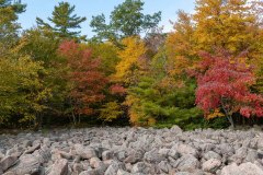 Fall in a Boulder Field