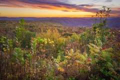 High Knob Overlook 2