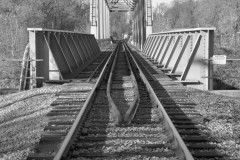 Awaiting the Train