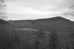 Dormant Beauty