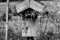 Tiny Home