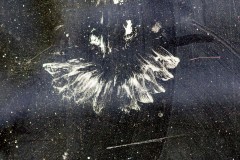 Broken Wings