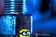 My Minion