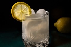 Portrait of a Lemon