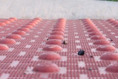 Visually Impaired Sidewalk