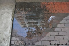 Water-valve-reflct