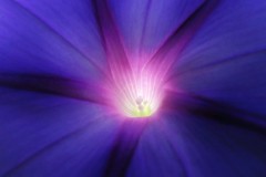 Eye-of-God Eye-of-God