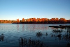Lake-Gene Lake-Gene