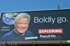 Boldness