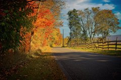 Autumn Road
