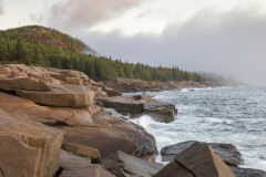 Autumn Splashes