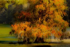 Dripping With Color-