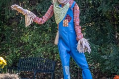 Scarecrow
