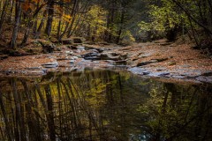 Calm Waters