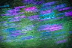 ICM