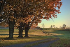Sunrise Trail