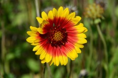 October Beauty