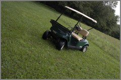 Green with Roof