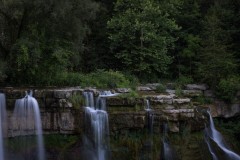 Firefly Flashes