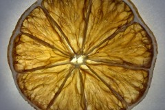 Food - Feb 24