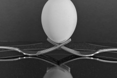 Egg Reflection