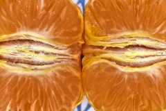 lorange