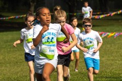 Leader of the Pack