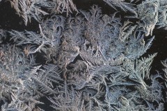 Window Frost