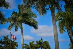 Flag
