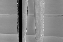 Icicle