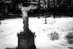 Ways Garden in Winter