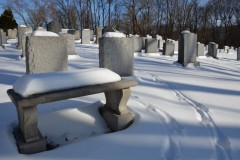 Viewing Bench
