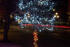 Tree Lights