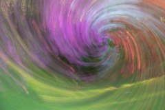 Intentional Camera Movement (ICM) - May 26