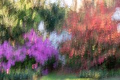 Watercolor