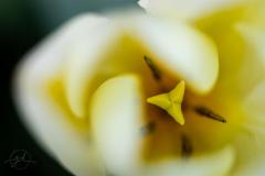 featured-13