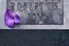 Joyless