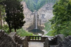 Old Friends Cellphone