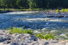 Fish Ladder
