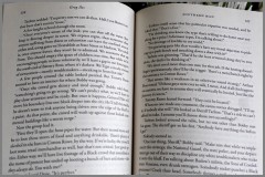 Joy of Reading