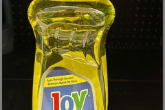 Joy