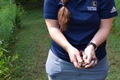 Joy Herpetologist Finds Snake