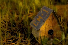 Airbnb 4 Rent