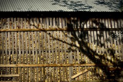 Corn Barn 