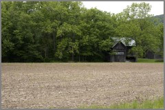 It's the Barn